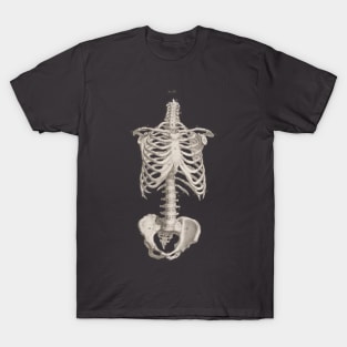 Vintage Medical Anatomy Skeleton Chest Medicine T-Shirt